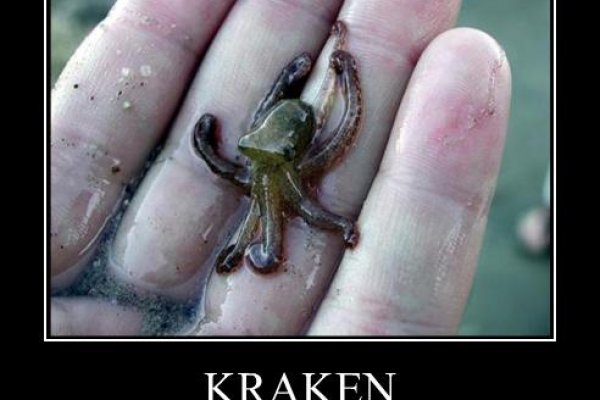 Актуальное зеркало на кракен